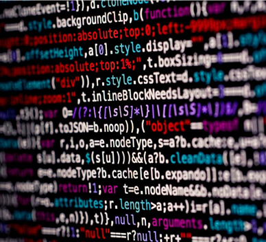 Custom Theme & Layout Development